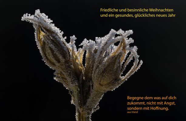 Schöne Weihnachtsfeiertage und einen guten Rutsch