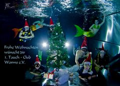 Schöne Weihnachtszeit wünscht dir 1. Tauch-Club Worms.