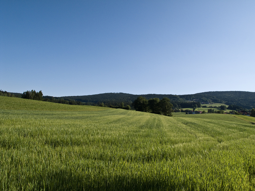 Schöne Welt