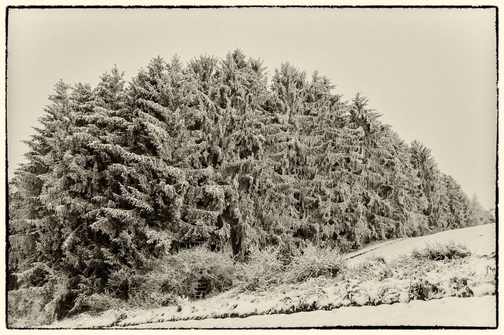 Schöne Wintergrüsse aus vergangenen Tagen!