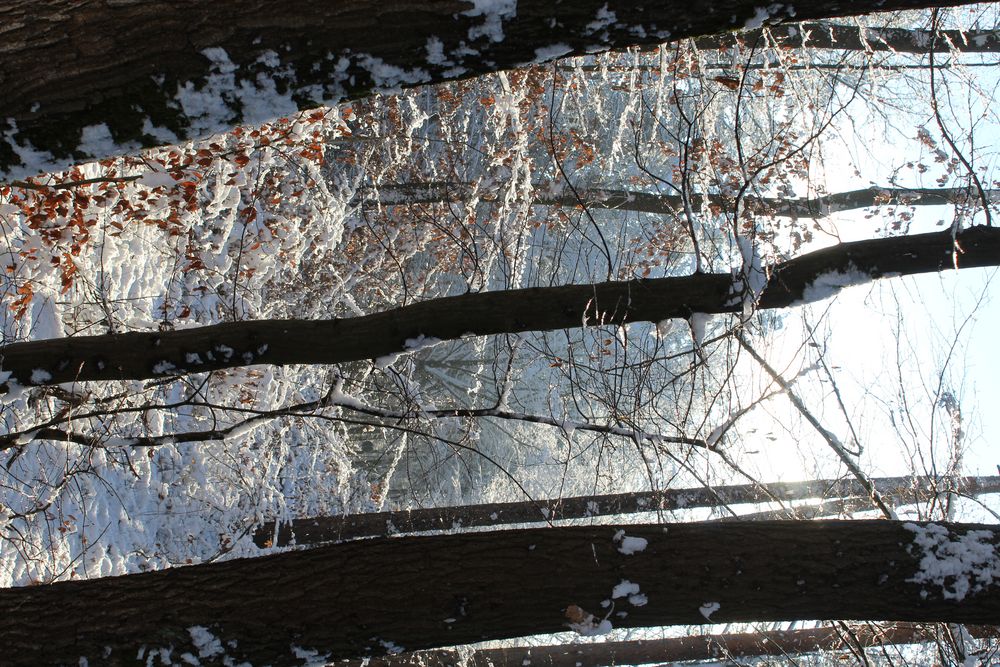 schöne Winterimpression