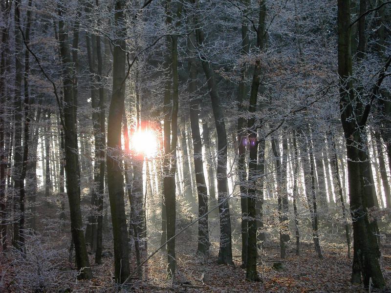 Schöne Winterlandschaft