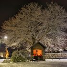 Schöne Winterwelt