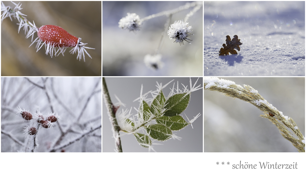 *** schöne Winterzeit ***