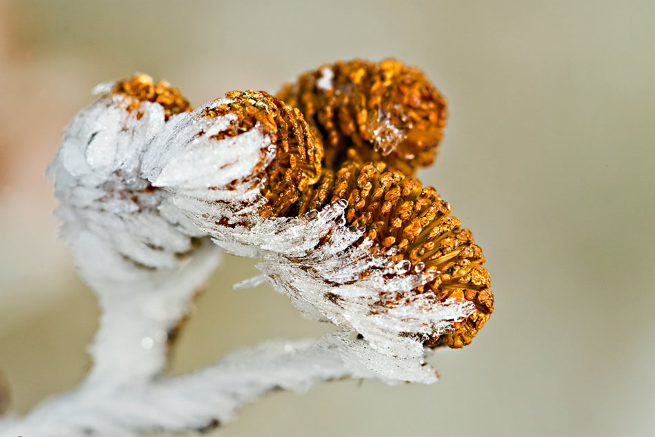 Schöne Winterzeit