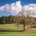 schöne Wolken