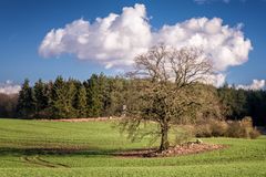 schöne Wolken