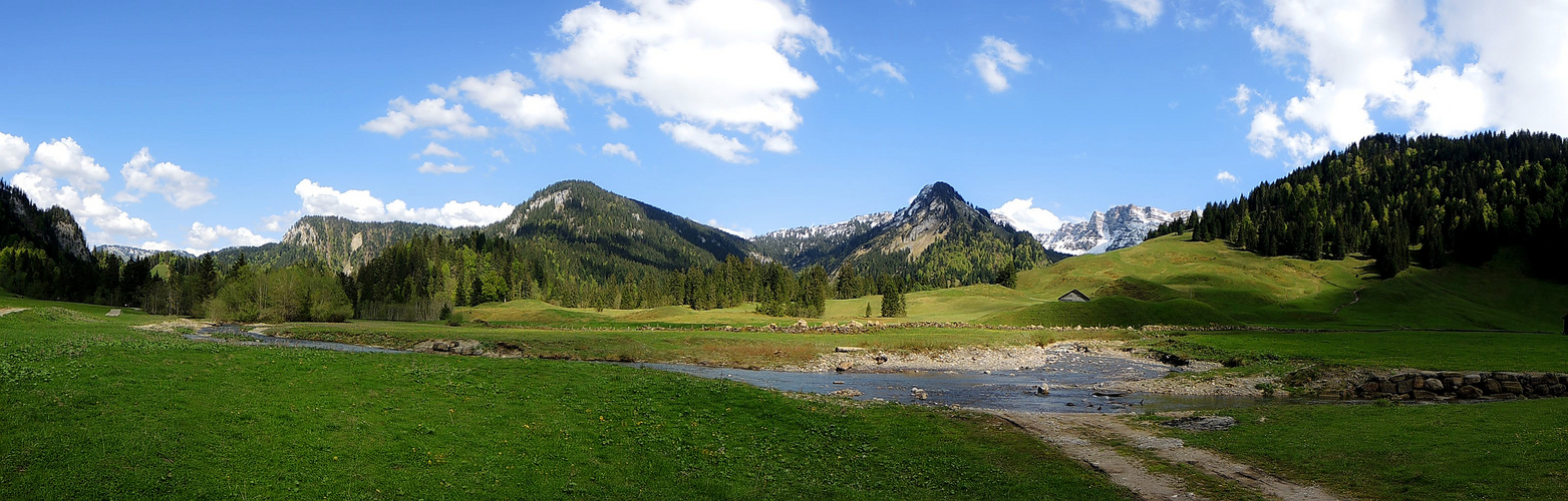 Schönebach im Sommer