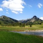 Schönebach im Sommer