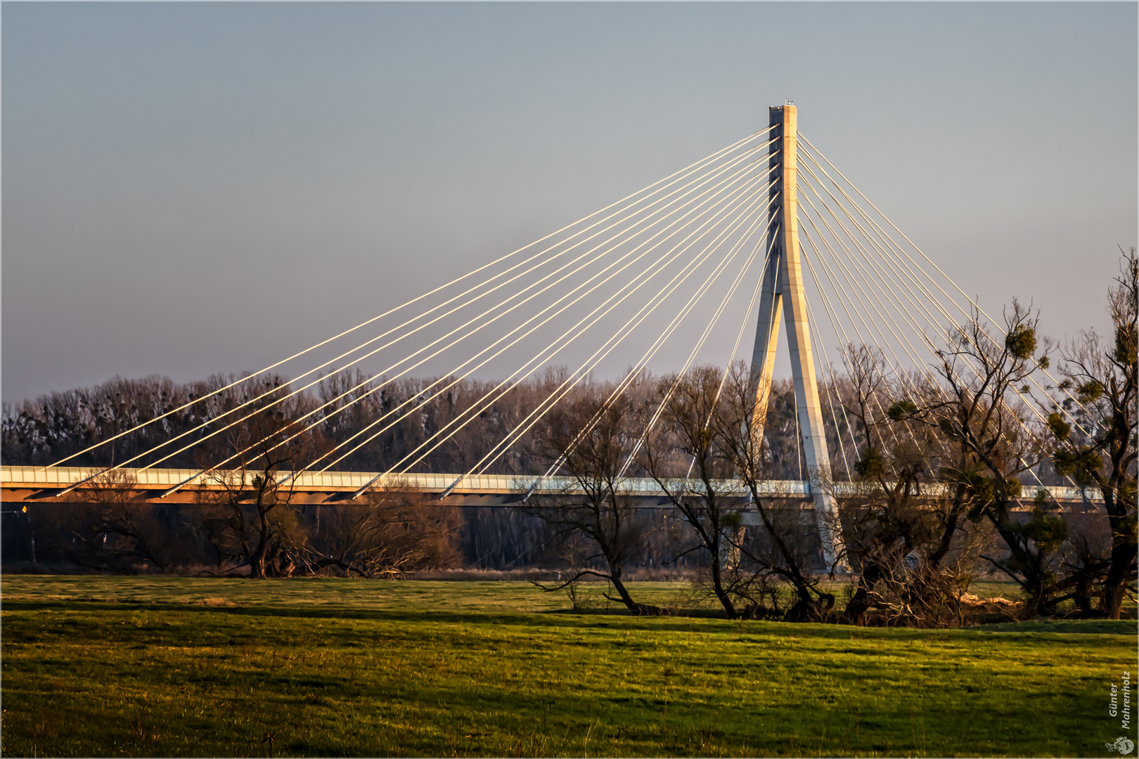 Schönebeck, Elbauenbrücke (2)