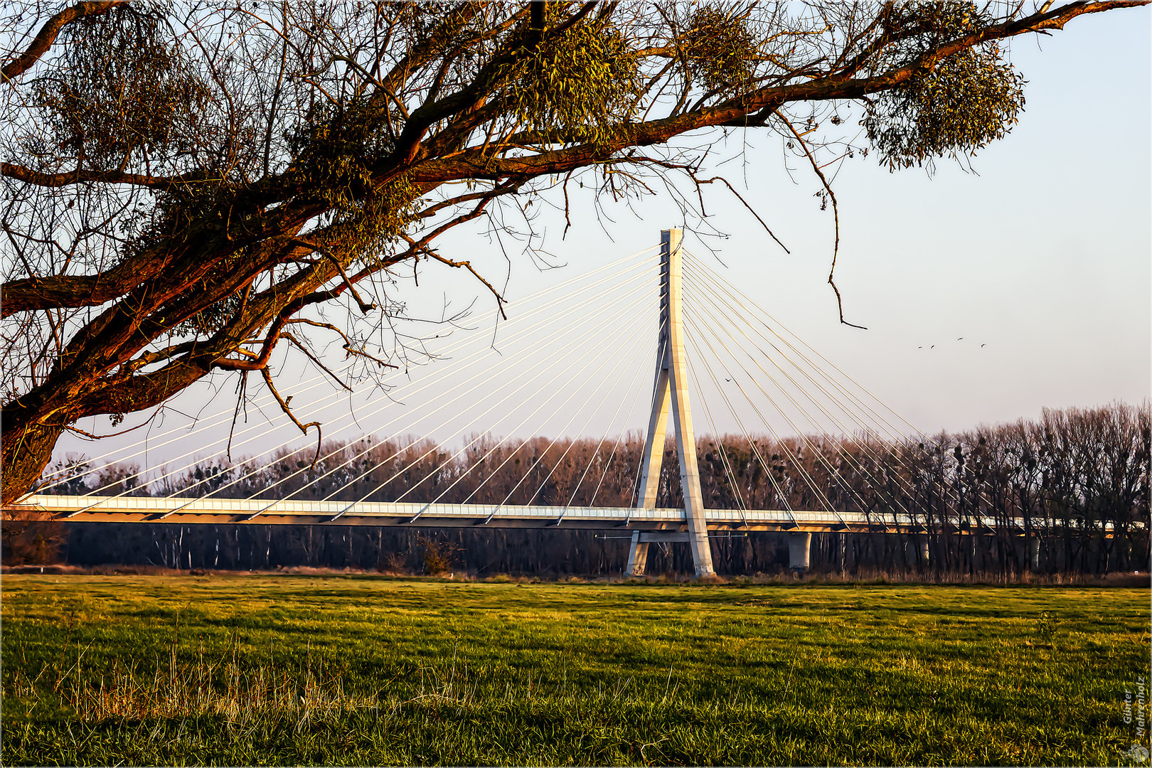 Schönebeck, Elbauenbrücke