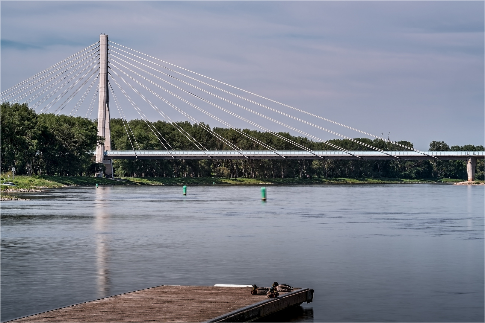 Schönebeck, Elbauenbrücke