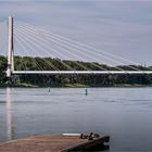 Schönebeck, Elbauenbrücke