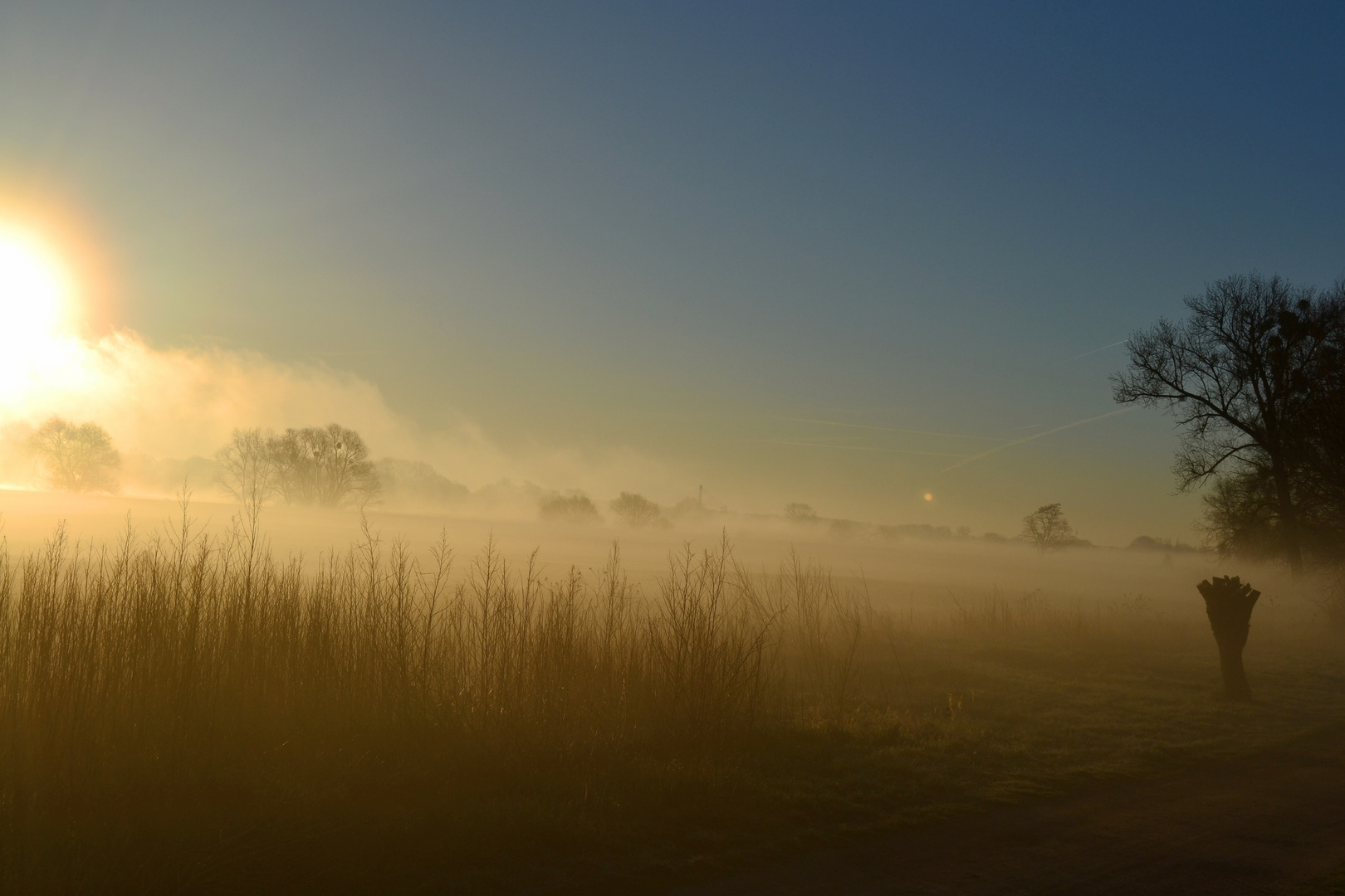 Schönebecker Elbe im Nebel [2]