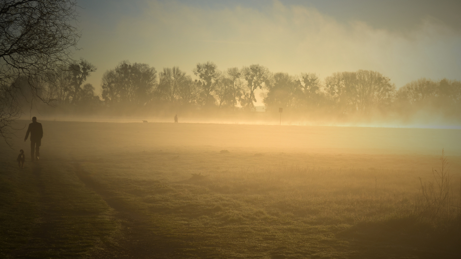 Schönebecker Elbe im Nebel