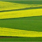 Schöneck in Spätfrühling