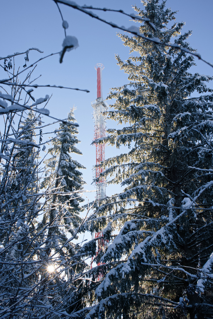 Schönecker "Eifelturm"