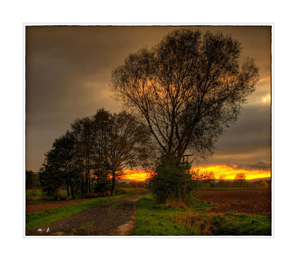 °SCHÖNEN ABEND NATUR°