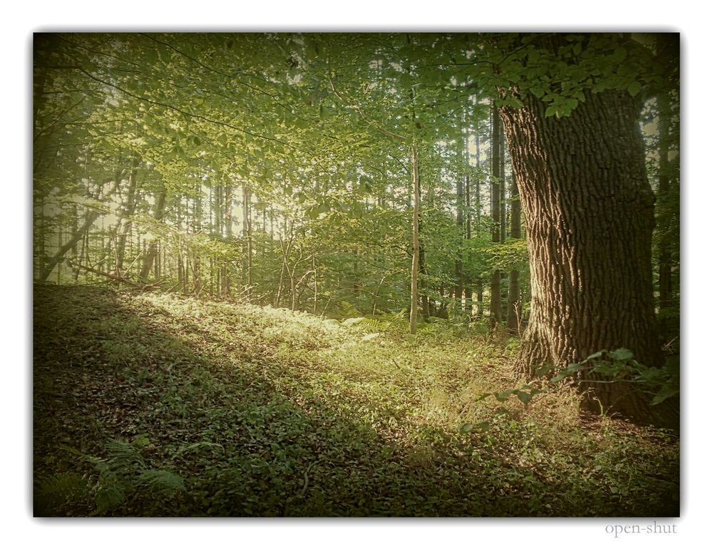 Schönen Gruß vom Septembersommer