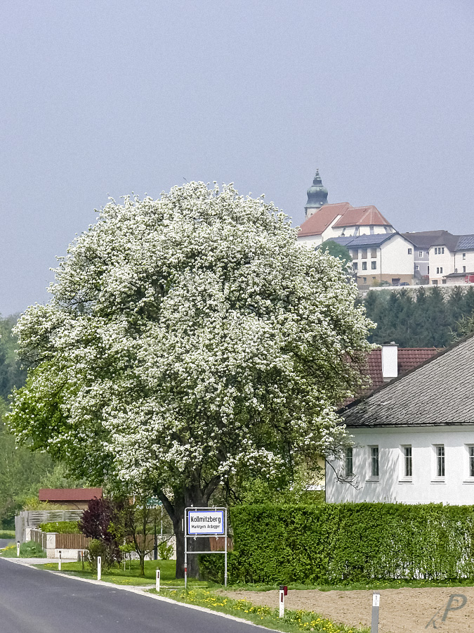 Schönen Sonntag