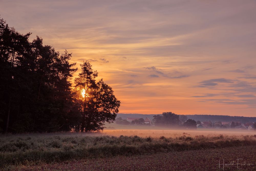 Schönen Sonntag