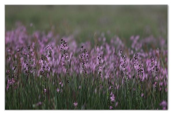 Schönen Sonntag ...