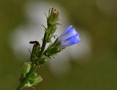 schönen Sonntag