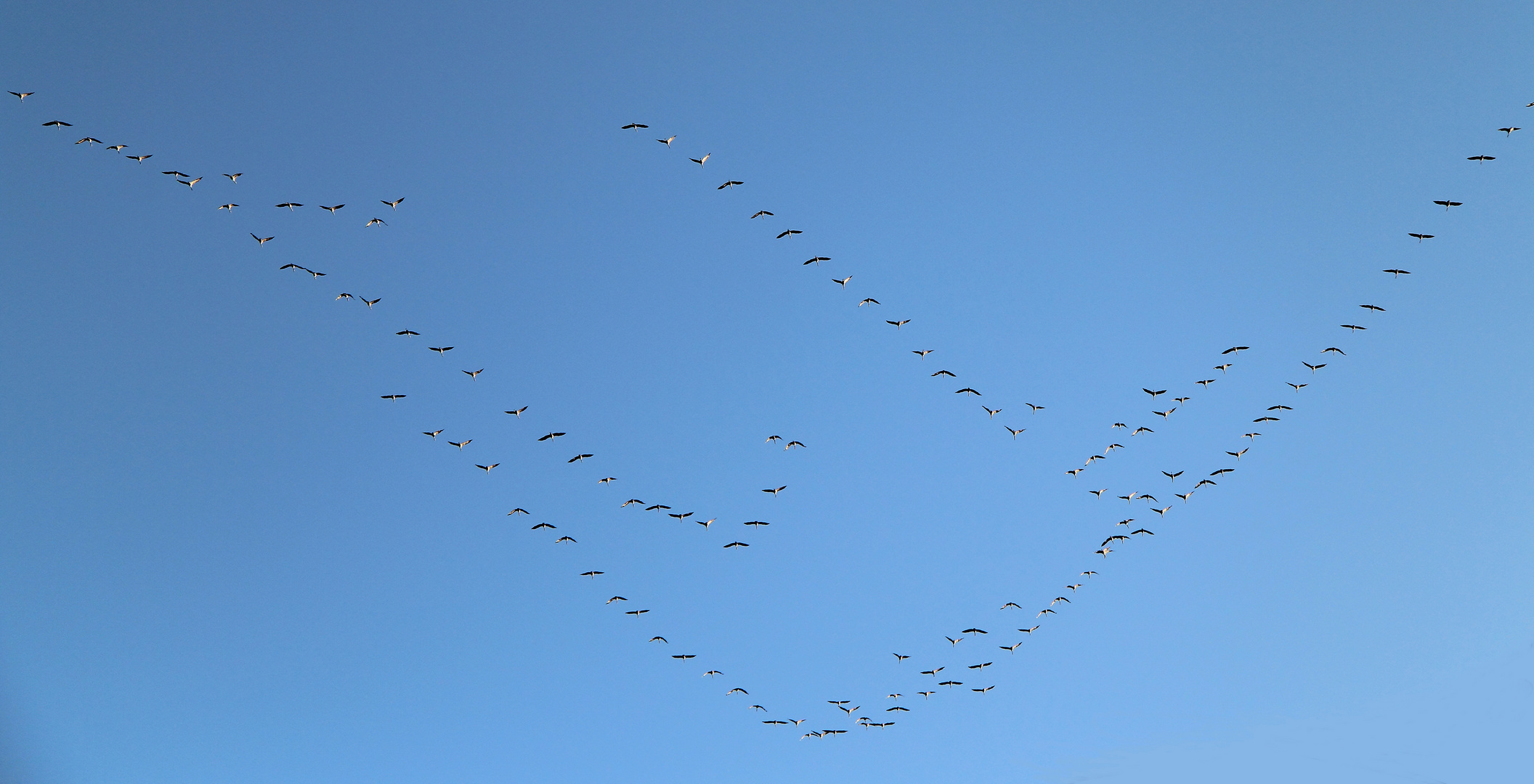 Schönen Urlaub und guten Flug