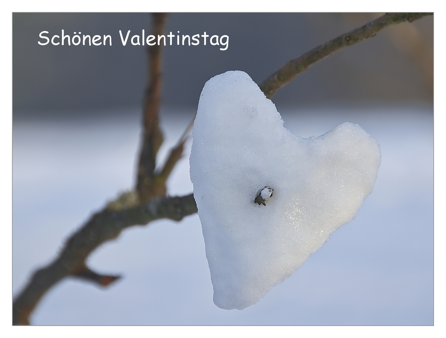 Schönen Valentinstag.....