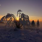 Schönen Wintertag morgen!