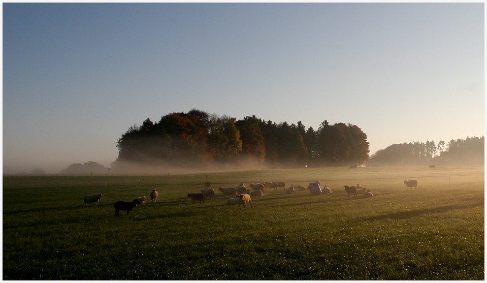 schönenberg thurgau