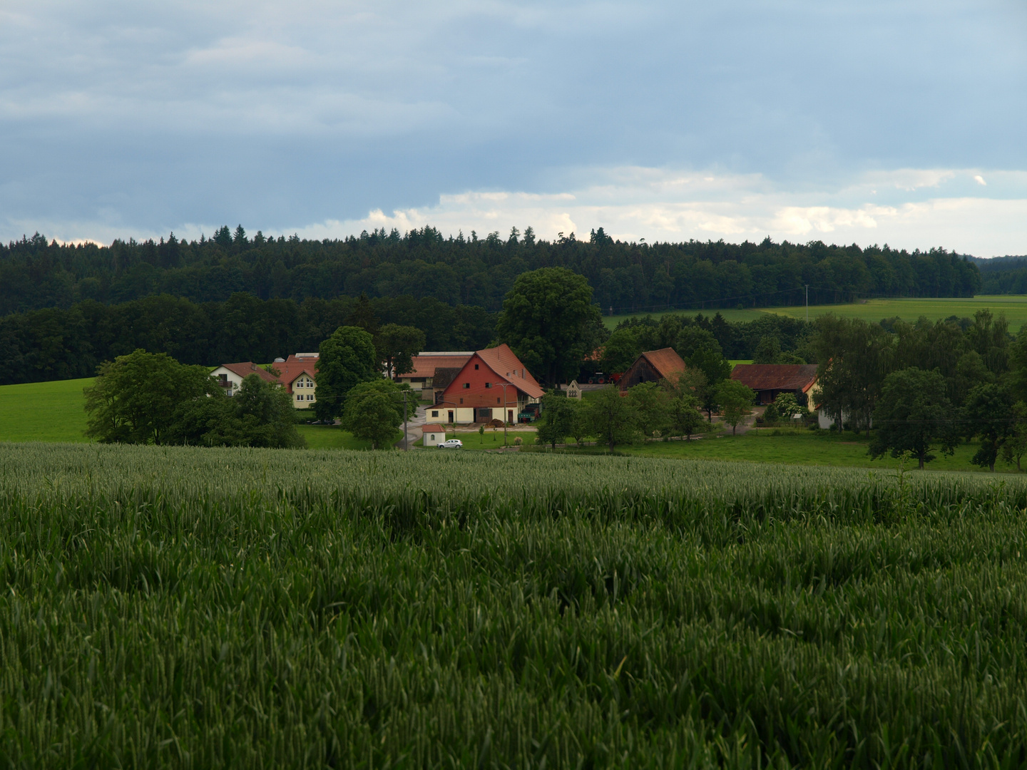 Schönenbuch, ein Weiler bei Mittelbiberach