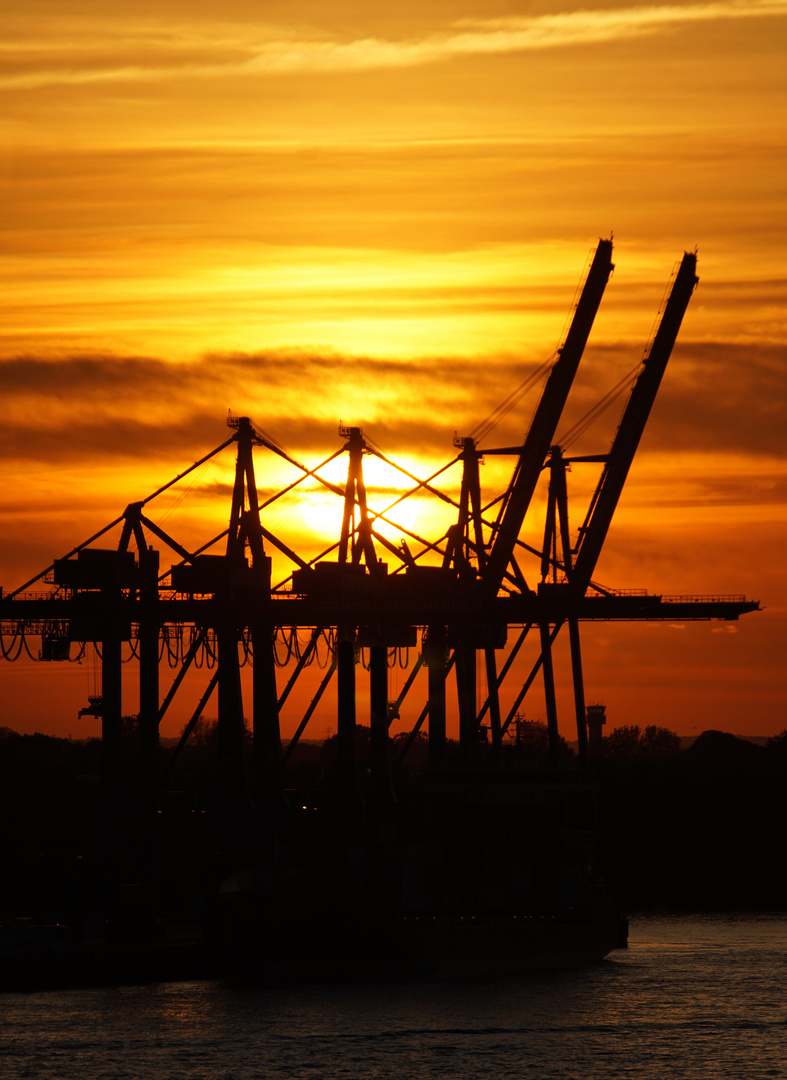 Schöner Abend am Hafen