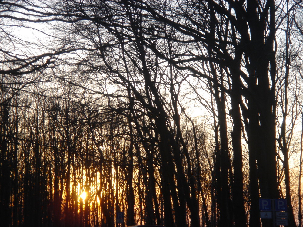 schöner anblick