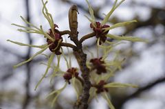 Schöner Aprilscherz