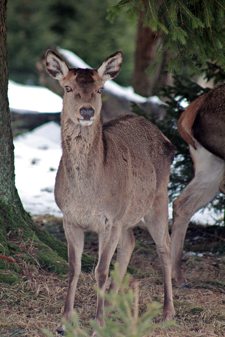 schöner Augen-Blick