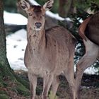 schöner Augen-Blick