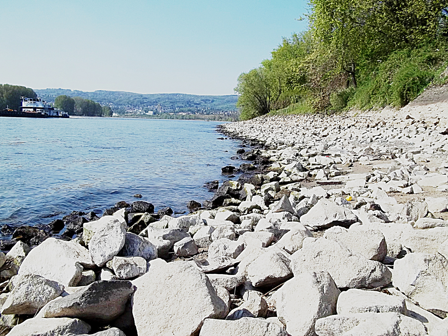 Schöner Augenblick am Rhein