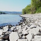 Schöner Augenblick am Rhein