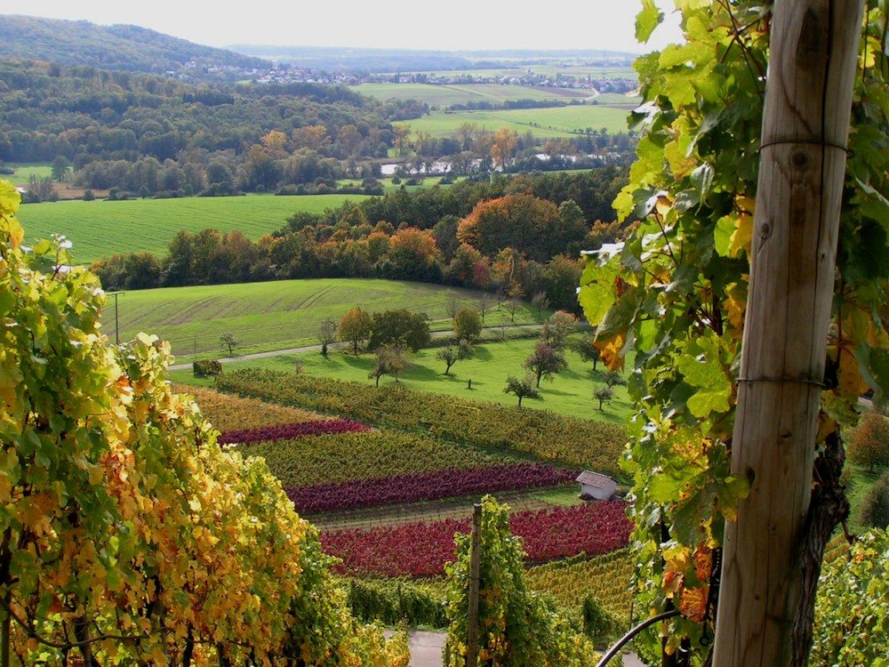 Schöner Ausblick ...