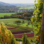 Schöner Ausblick ...