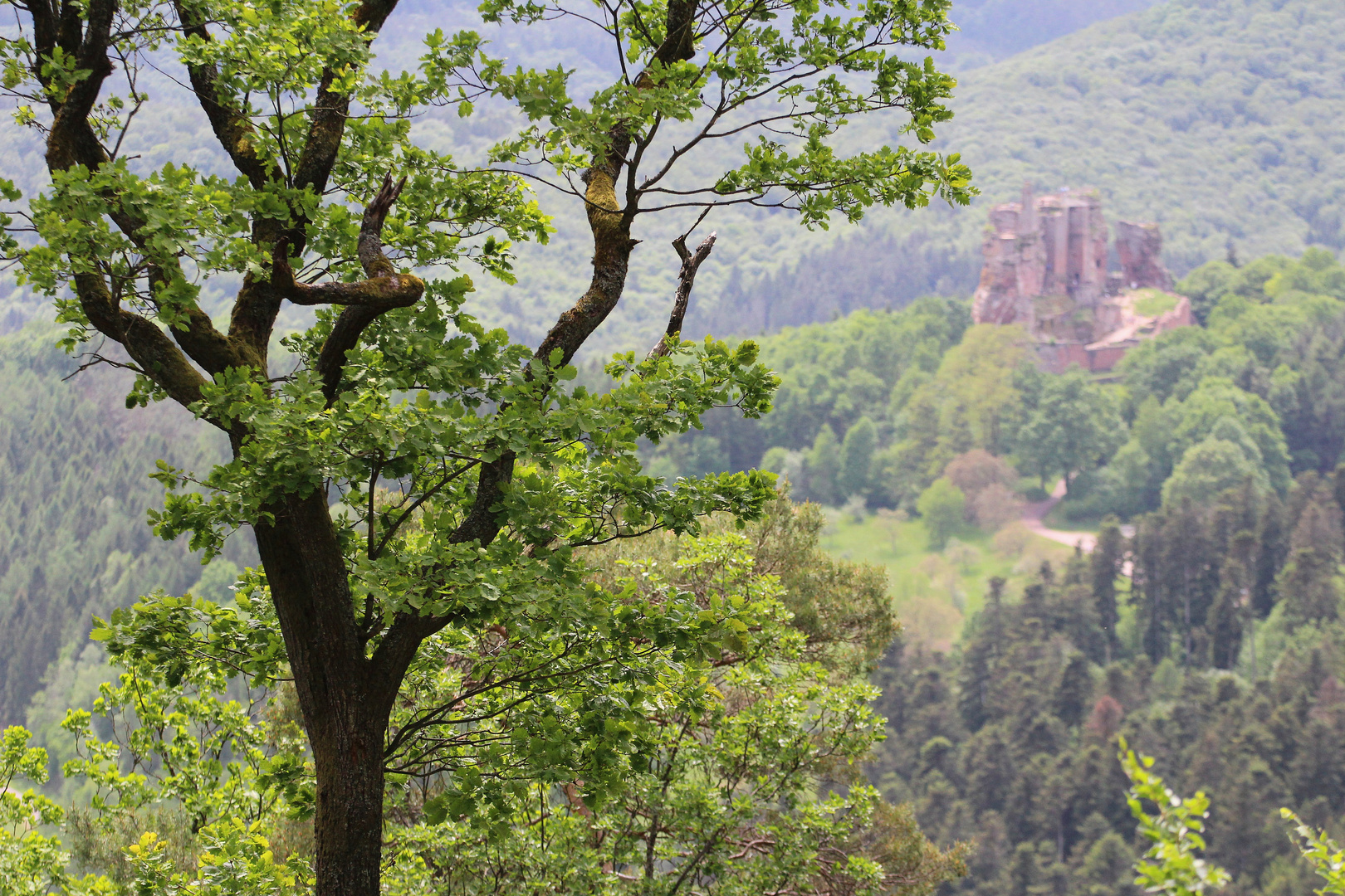 Schöner Ausblick