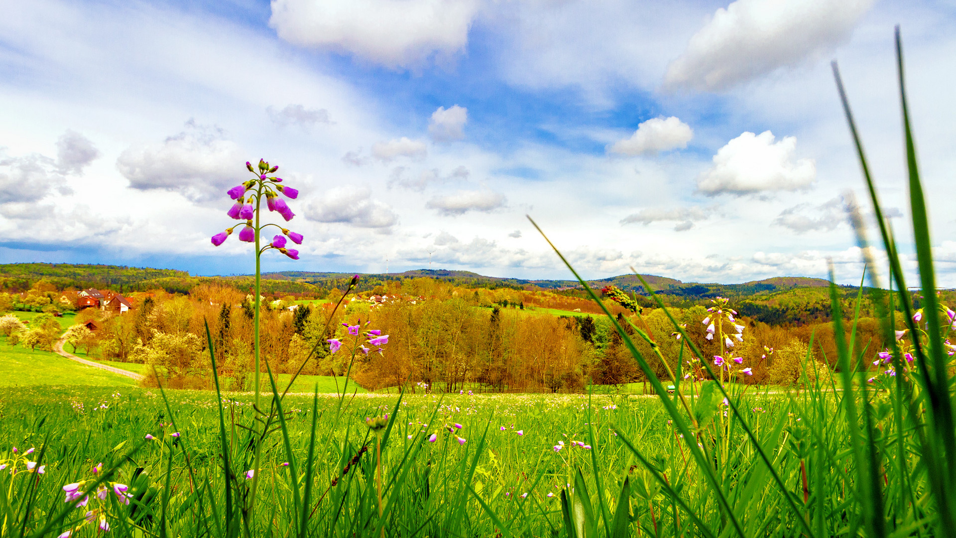 Schöner Ausblick