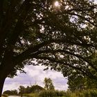 schöner Ausblick