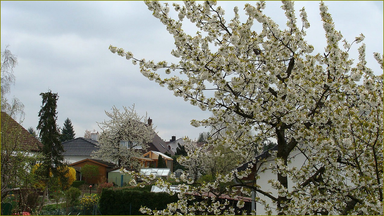 Schöner Ausblick