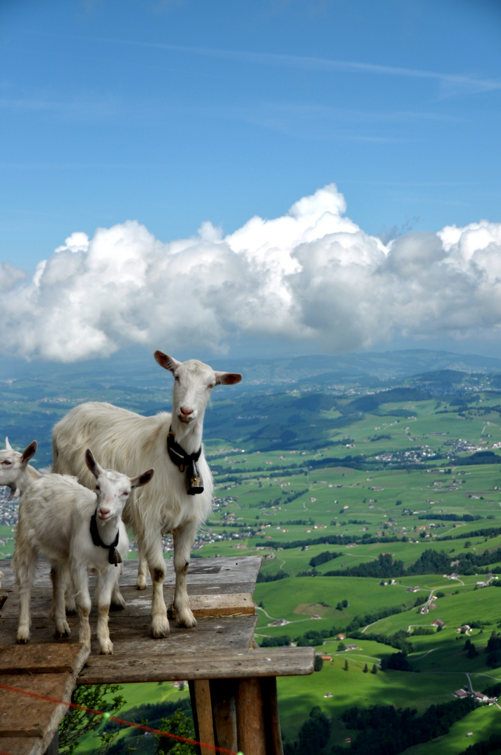 Schöner Ausblick