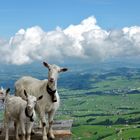 Schöner Ausblick