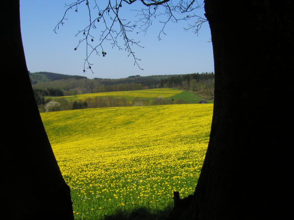 schöner Ausblick im Frühling