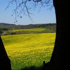 schöner Ausblick im Frühling