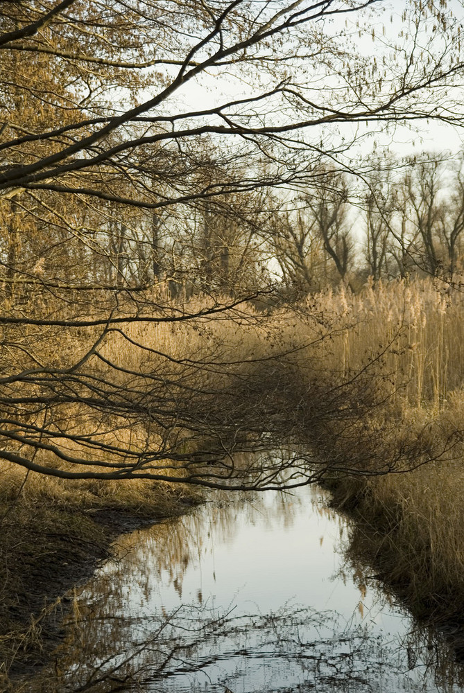 schöner Bachlauf